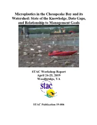 Microplastics in the Chesapeake Bay and Its Watershed: State of the Knowledge, Data Gaps, and Relationship to Management Goals