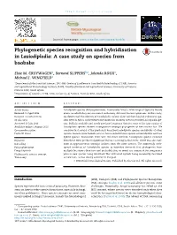 Phylogenetic Species Recognition and Hybridisation in Lasiodiplodia: a Case Study on Species from Baobabs