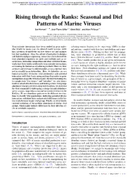 Rising Through the Ranks: Seasonal and Diel Patterns of Marine Viruses