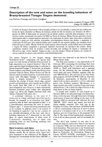 Description of the Nest and Notes on the Breeding Behaviour of Brassy