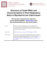 Discovery of Small Rnas and Characterization of Their Regulatory Roles in Mycobacterium Tuberculosis