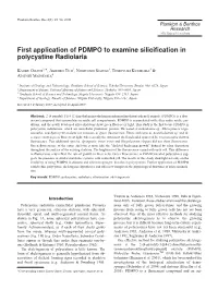 First Application of PDMPO to Examine Silicification in Polycystine Radiolaria