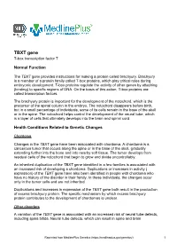 TBXT Gene T-Box Transcription Factor T