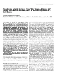 Slow” NGF Binding, Efficient NGF Uptake, and Multiple NGF Responses to NGF-Nonresponsive PC12 Cell Mutants