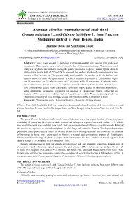 A Comparative Karyomorphological Analysis of Crinum Asiaticum L. and Crinum Latifolium L