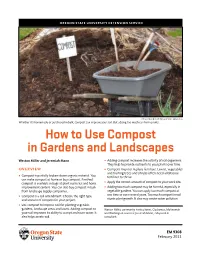How to Use Compost in Gardens and Landscapes