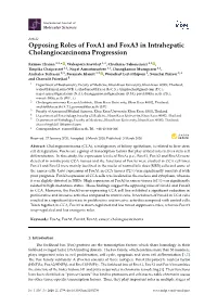 Opposing Roles of Foxa1 and Foxa3 in Intrahepatic Cholangiocarcinoma Progression