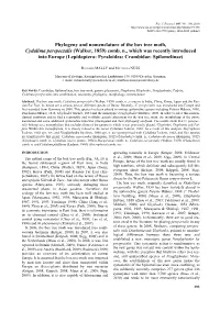 Phylogeny and Nomenclature of the Box Tree Moth, Cydalima Perspectalis (Walker, 1859) Comb