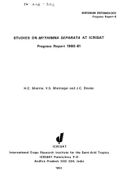 Studies on Mythimna Separata at Icrisat