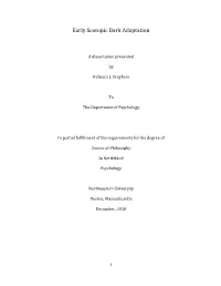 Early Scotopic Dark Adaptation