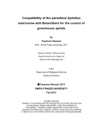 Compatibility of the Parasitoid Aphidius Matricariae with Botanigard for the Control of Greenhouse Aphids