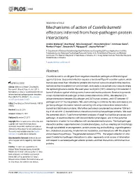 Mechanisms of Action of Coxiella Burnetii Effectors Inferred from Host-Pathogen Protein Interactions