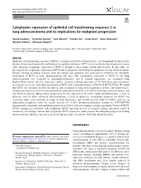 Cytoplasmic Expression of Epithelial Cell Transforming Sequence 2 in Lung Adenocarcinoma and Its Implications for Malignant Progression