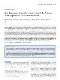 Implications to Occipital Headache