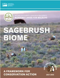 Sagebrush Biome Framework