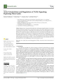Actin Cytoskeleton and Regulation of Tgfβ Signaling: Exploring Their Links