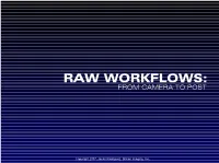 Camera Raw Workflows