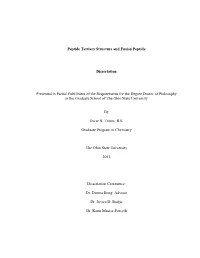 Peptide Tertiary Structure and Fusion Peptide
