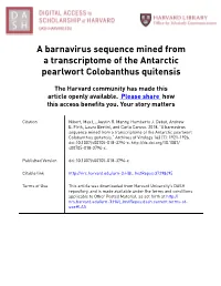 A Barnavirus Sequence Mined from a Transcriptome of the Antarctic Pearlwort Colobanthus Quitensis