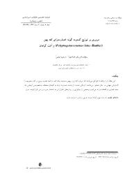 Article 520245 F5541bed099e4