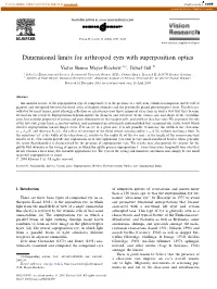 Dimensional Limits for Arthropod Eyes with Superposition Optics