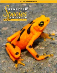 Endangered Species Bulletin Spring 2008 Spring 2008 Endangered Species Bulletin  in THIS ISSUE