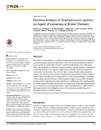 Genome Analysis of Staphylococcus Agnetis, an Agent of Lameness in Broiler Chickens