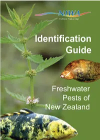 Identification Guide Freshwater Pests of NZ