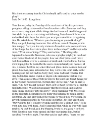 Luke 24:13-35 Long Form Now That Very Day