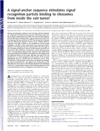 A Signal-Anchor Sequence Stimulates Signal Recognition Particle Binding to Ribosomes from Inside the Exit Tunnel