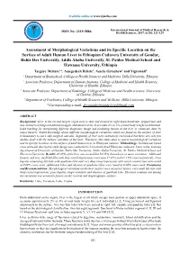 Assessment of Morphological Variations and Its Specific Location