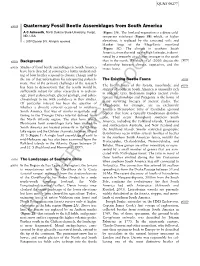 Elsevier First Proof