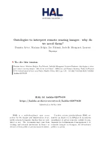 Ontologies to Interpret Remote Sensing Images: Why Do We Need Them?