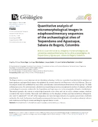 Quantitative Analysis of Micromorphological Images in This Work Is Distributed Under the Creative Commons Attribution 4.0 License