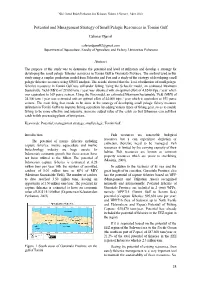 Potential and Management Strategy of Small Pelagic Resources in Tomini Gulf