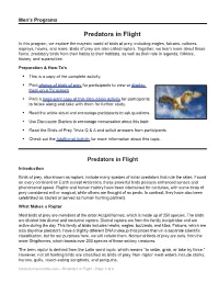 Predators in Flight in This Program, We Explore the Majestic World of Birds of Prey, Including Eagles, Falcons, Vultures, Ospreys, Hawks, and More