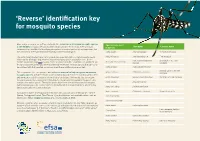 Identification Key for Mosquito Species