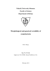 Morphological and Genetical Variability of Cyanobacteria