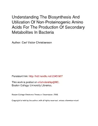 Understanding the Biosynthesis and Utilization of Non-Proteinogenic Amino Acids for the Production of Secondary Metabolites in Bacteria