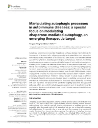 Manipulating Autophagic Processes in Autoimmune Diseases: a Special Focus on Modulating Chaperone-Mediated Autophagy, an Emerging Therapeutic Target