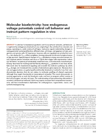 Molecular Bioelectricity: How Endogenous Voltage Potentials Control Cell Behavior and Instruct Pattern Regulation in Vivo