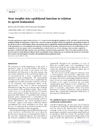 New Insights Into Epididymal Function in Relation to Sperm Maturation
