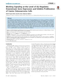 Blocking Signaling at the Level of GLI Regulates Downstream Gene Expression and Inhibits Proliferation of Canine Osteosarcoma Cells