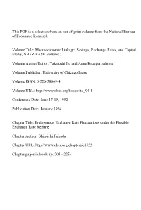 Endogenous Exchange Rate Fluctuations Under the Flexible Exchange Rate Regime