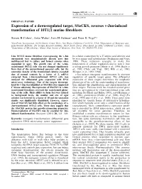 Expression of a Down-Regulated Target, Ssecks, Reverses V-Jun-Induced Transformation of 10T1/2 Murine ®Broblasts