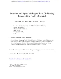 Structure and Ligand Binding of the ADP-Binding Domain of the NAD+ Riboswitch