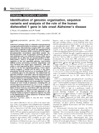 Identification of Genomic Organisation, Sequence Variants and Analysis of the Role of the Human Dishevelled 1 Gene in Late Onset Alzheimer's Disease
