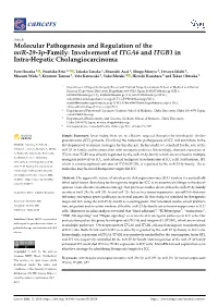 Molecular Pathogenesis and Regulation of the Mir-29-3P-Family: Involvement of ITGA6 and ITGB1 in Intra-Hepatic Cholangiocarcinoma