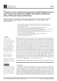Changes in Gene and Protein Expression of Metalloproteinase-2 and -9 and Their Inhibitors TIMP2 and TIMP3 in Different Parts of Fluoride-Exposed Rat Brain