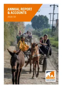 Annual Report & Accounts
